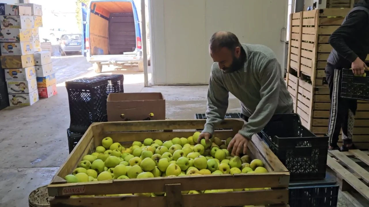 Mijëra Tonë Mollë Stok/ Fermerët Presin Pemëtoret: 'Ballkani I Hapur ...